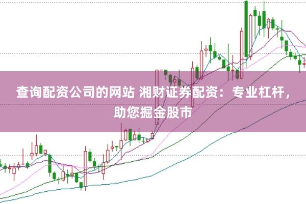 查询配资公司的网站 湘财证券配资：专业杠杆，助您掘金股市