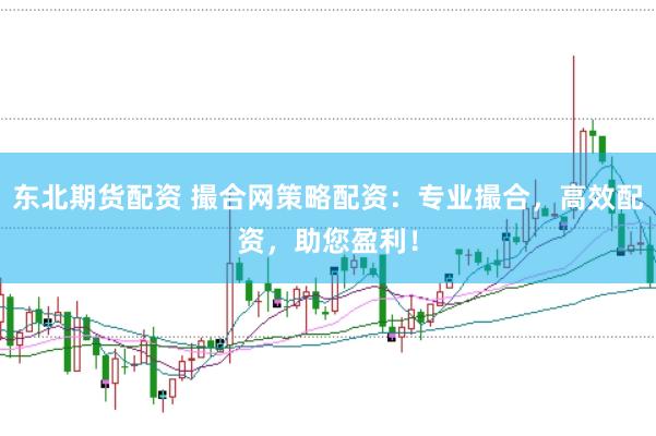 东北期货配资 撮合网策略配资：专业撮合，高效配资，助您盈利！