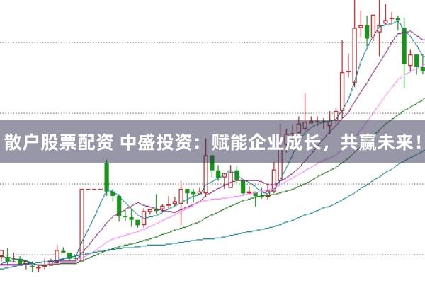 散户股票配资 中盛投资:赋能企业成长,共赢未来!