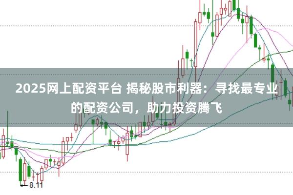 2025网上配资平台 揭秘股市利器:寻找最专业的配资公司,助力投资腾飞
