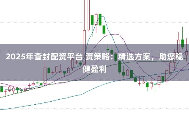 2025年查封配资平台 资策略：精选方案，助您稳健盈利