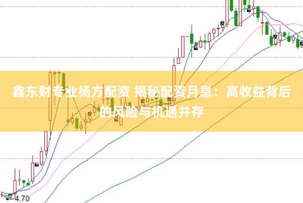 鑫东财专业杨方配资 揭秘配资月息:高收益背后的风险与机遇并存