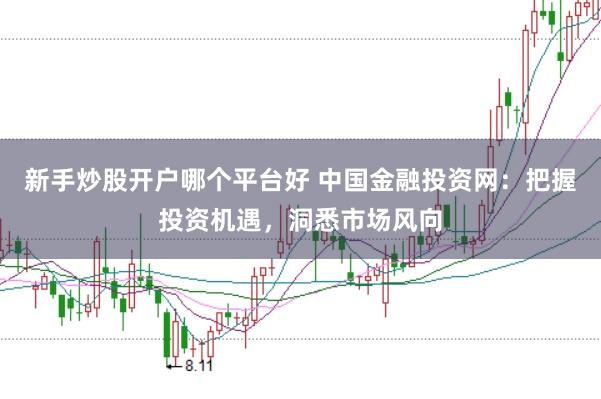 新手炒股开户哪个平台好 中国金融投资网：把握投资机遇，洞悉市场风向