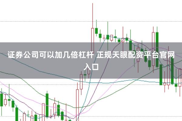 证券公司可以加几倍杠杆 正规天眼配资平台官网入口