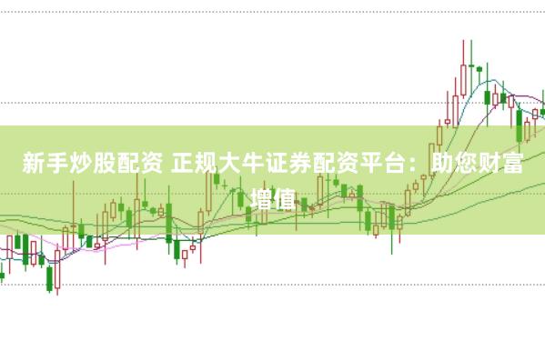 新手炒股配资 正规大牛证券配资平台：助您财富增值