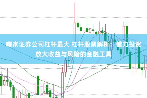 哪家证券公司杠杆最大 杠杆股票解析：借力投资放大收益与风险的金融工具