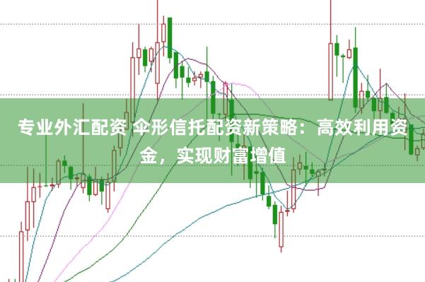 专业外汇配资 伞形信托配资新策略:高效利用资金,实现财富增值